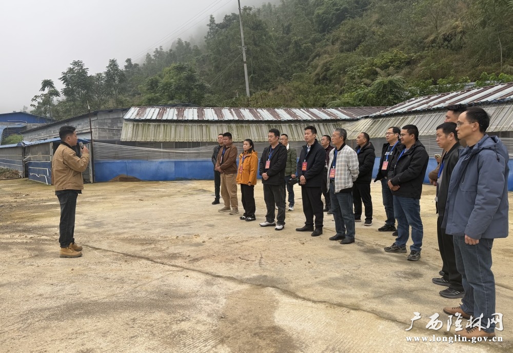 微信图片_20251107102152_11_273