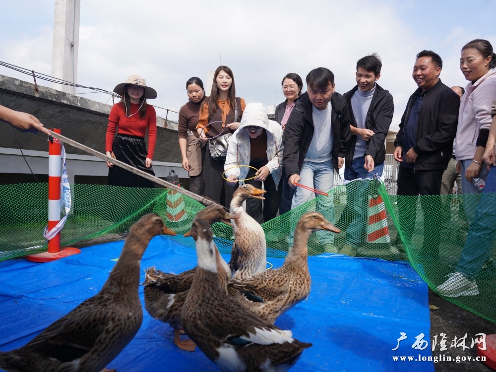 微信图片_20251107180204_1656_262 微信图片_20251107180204_1656_262