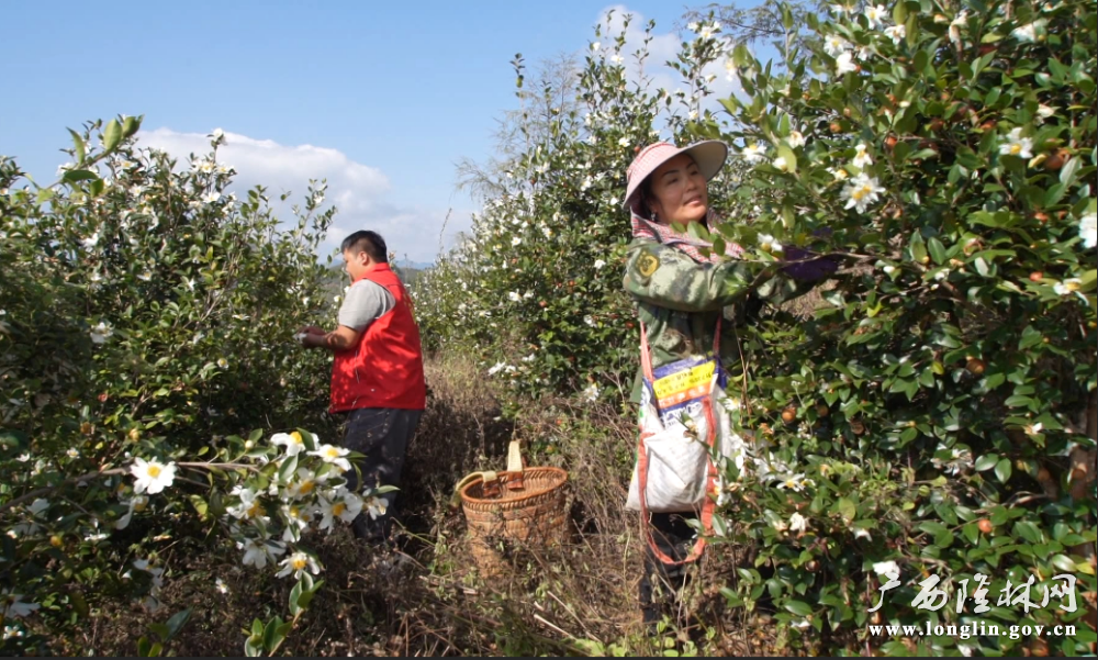 微信图片_20251118164611_268_261