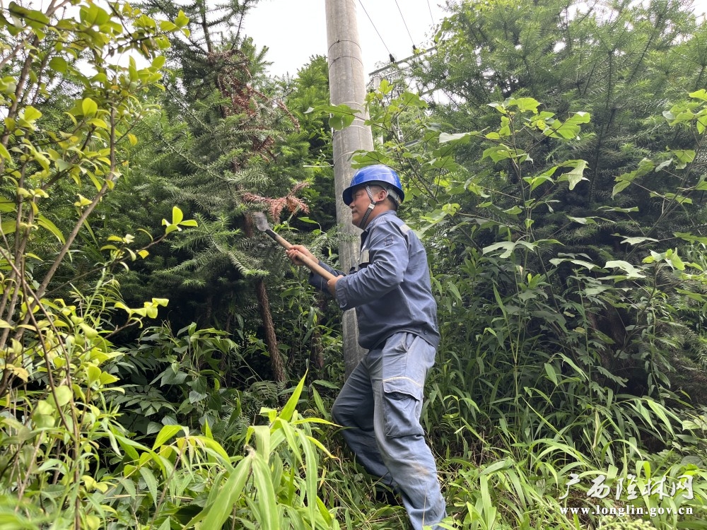 百色隆林供电局德峨供电所设备主人黄杰在清理10千伏金钟山线路树障。