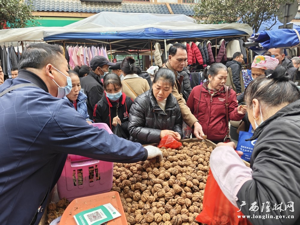 微信图片_20251218152230_146_178