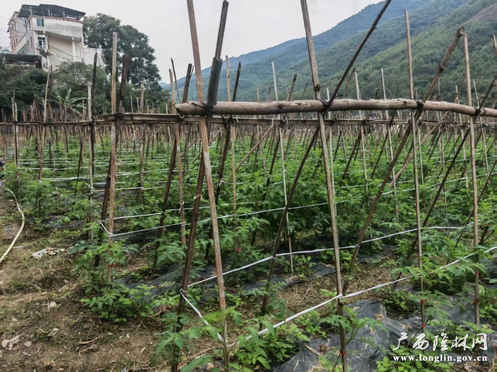 4a4f5a48f64b17608645bbc72ea597b0