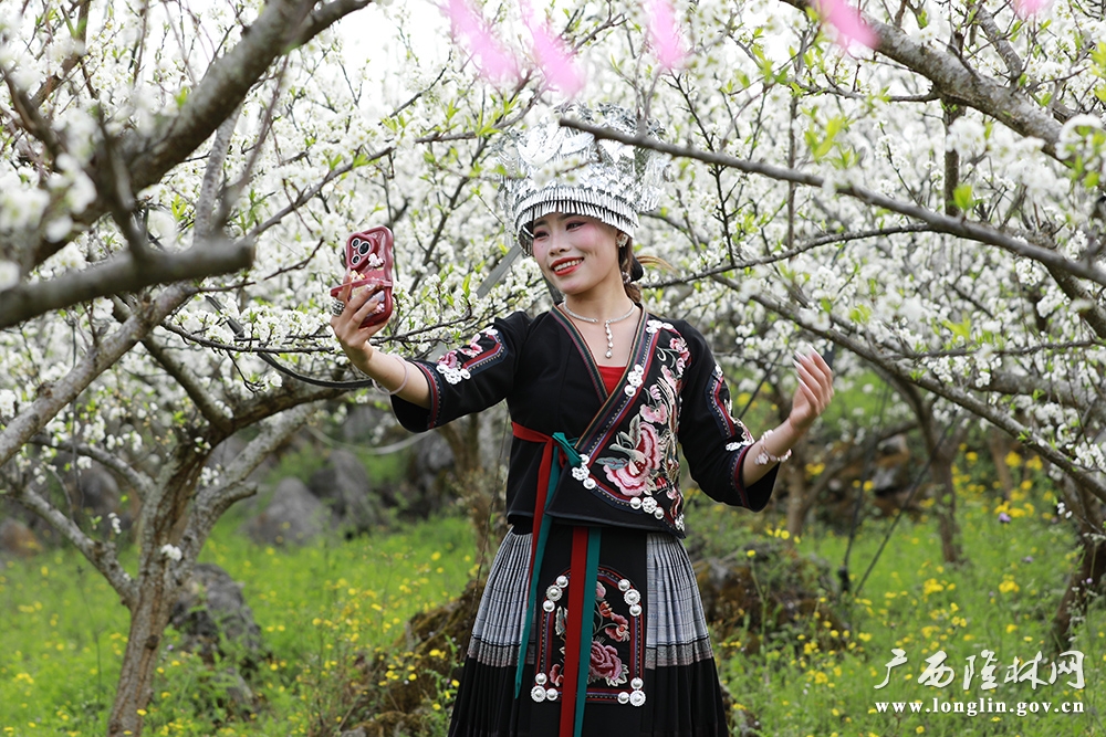 游客打卡 游客打卡