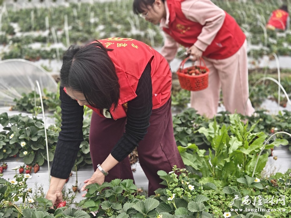 29279f7d8c9d67ba739bdb3cb9218265