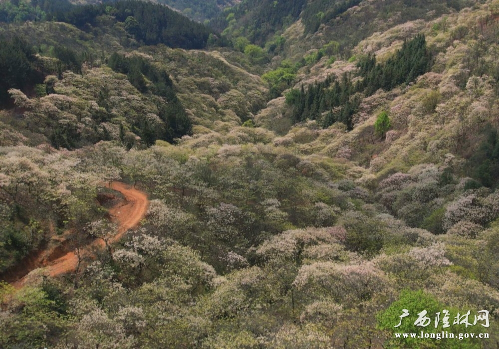 微信图片_20260324150521_549_280