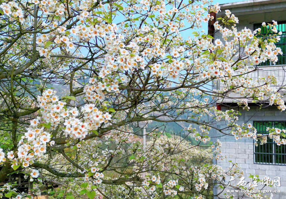 db2cd409-425f-4a5e-bdd2-e36ba43a87af