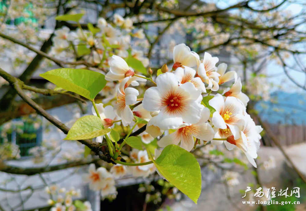 c4ee7a72-be0f-4bbb-9b28-5027ff25d300