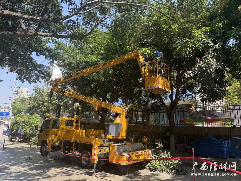 微信图片_20260414084114_156_273