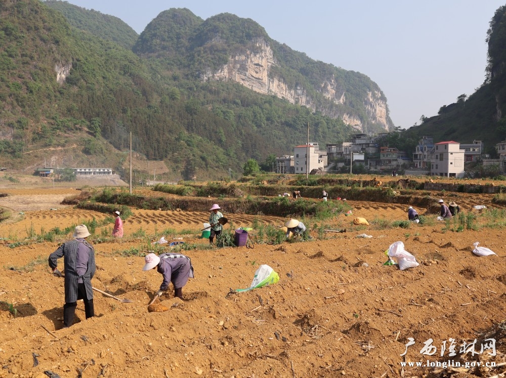 微信图片_20260414172229_281_163 微信图片_20260414172229_281_163