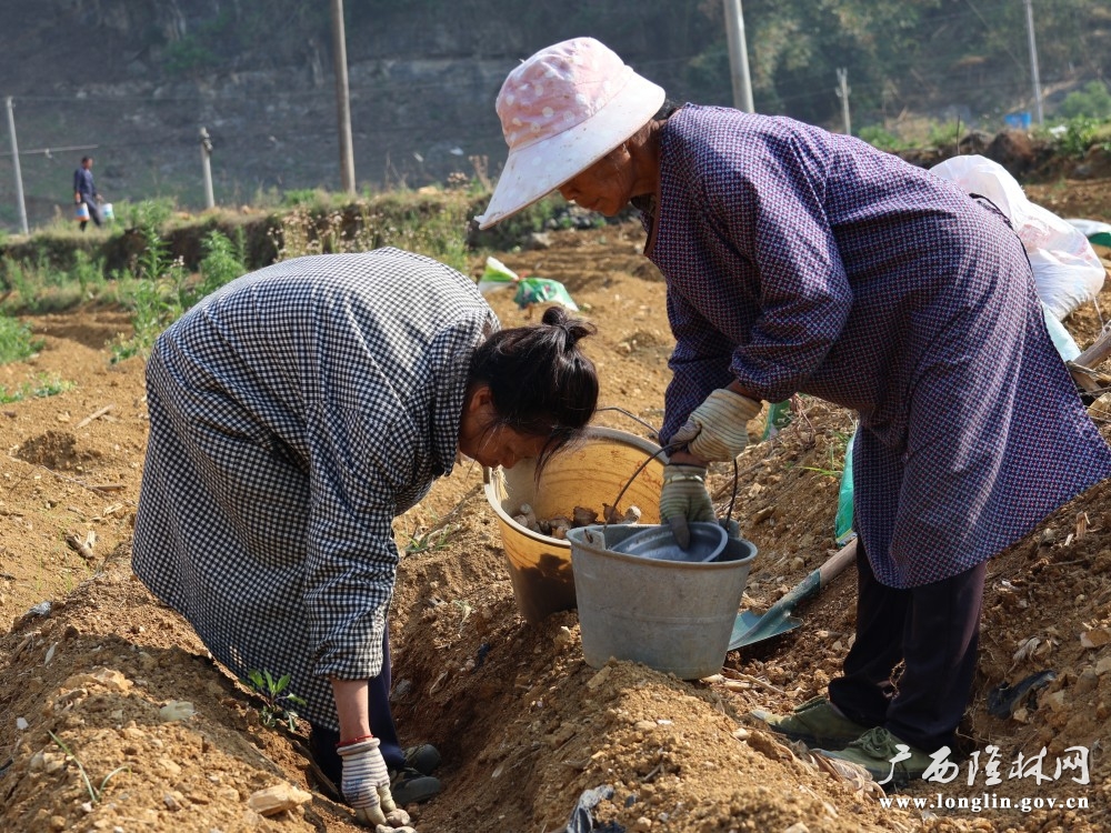 微信图片_20260414172240_283_163 微信图片_20260414172240_283_163