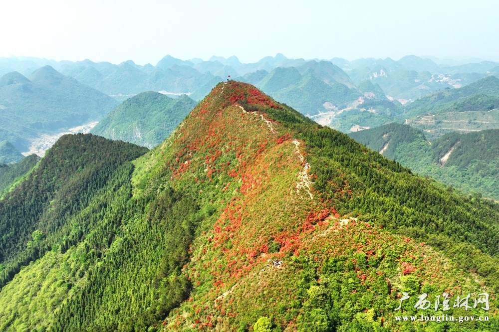 微信图片_20260415105806_763_177 微信图片_20260415105806_763_177