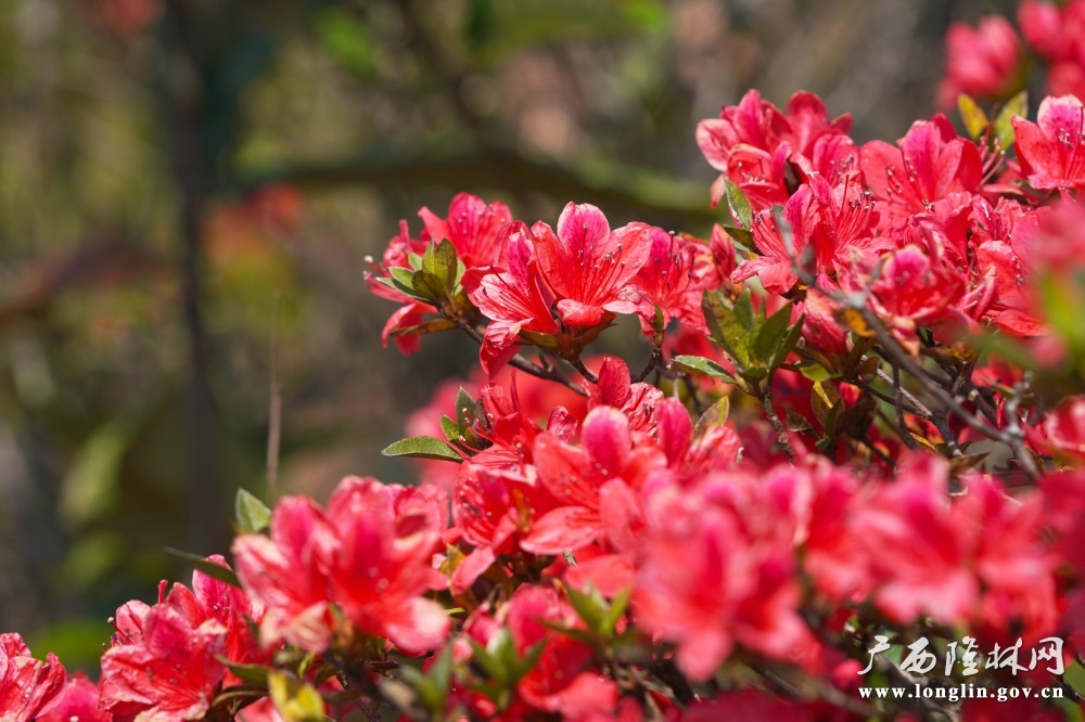 微信图片_20260415105808_765_177 微信图片_20260415105808_765_177