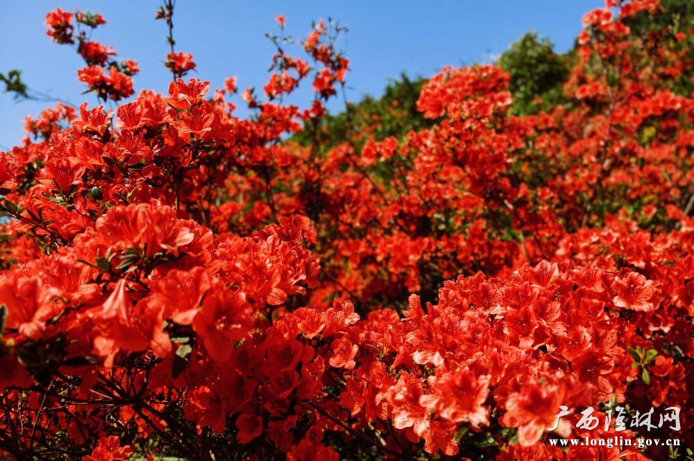 微信图片_20260415101548_217_178 微信图片_20260415101548_217_178