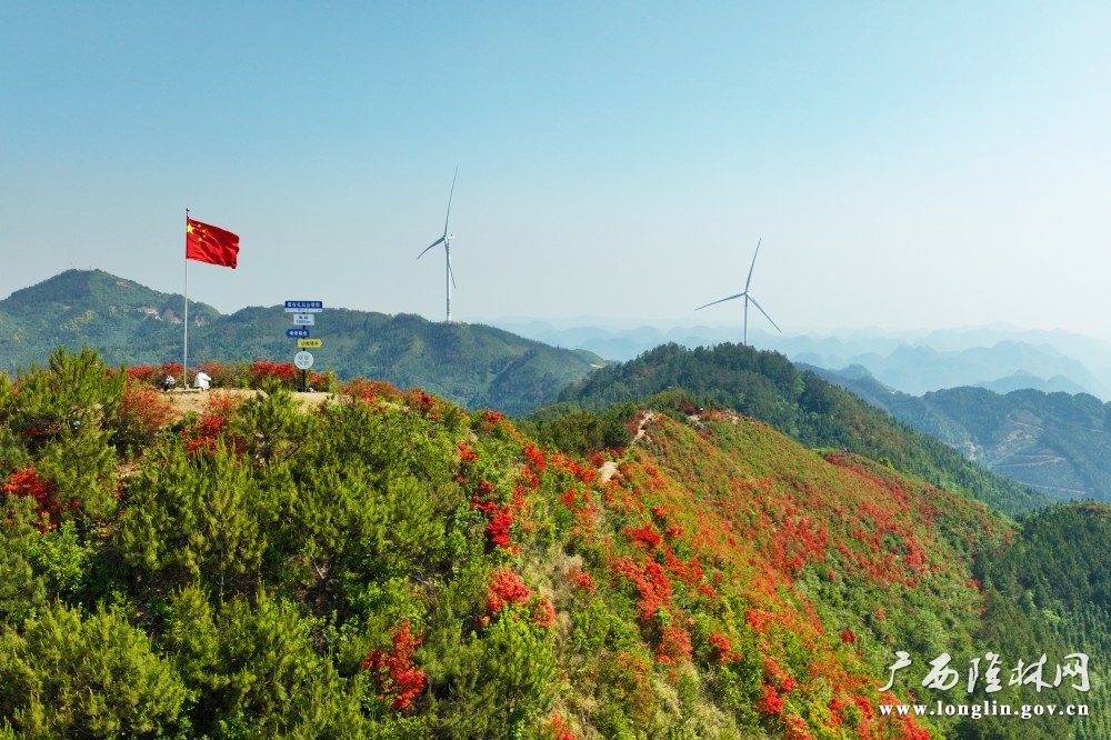 微信图片_20260415105813_768_177 微信图片_20260415105813_768_177