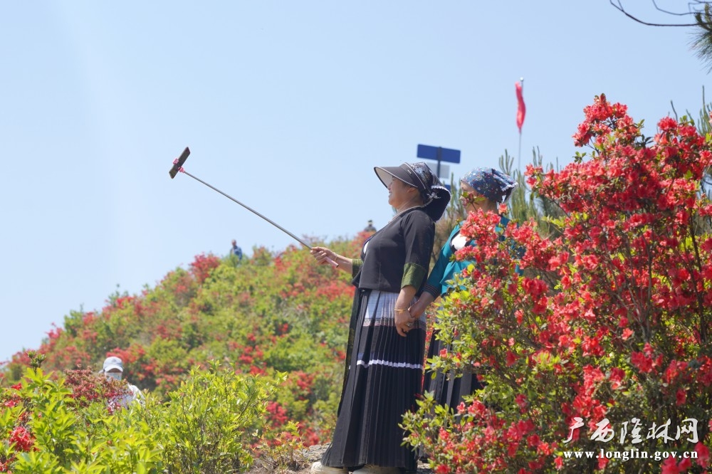 微信图片_20260415105811_767_177 微信图片_20260415105811_767_177