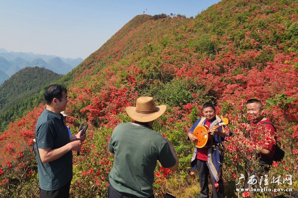 微信图片_20260415110901_774_177