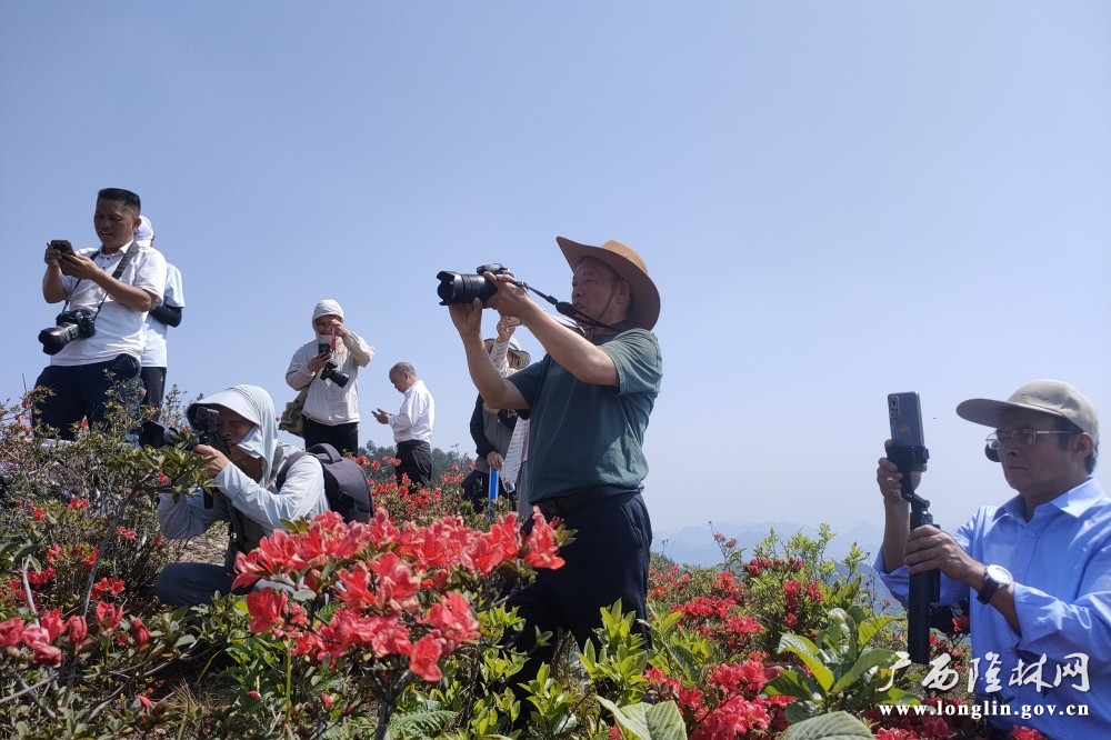 微信图片_20260415110902_775_177