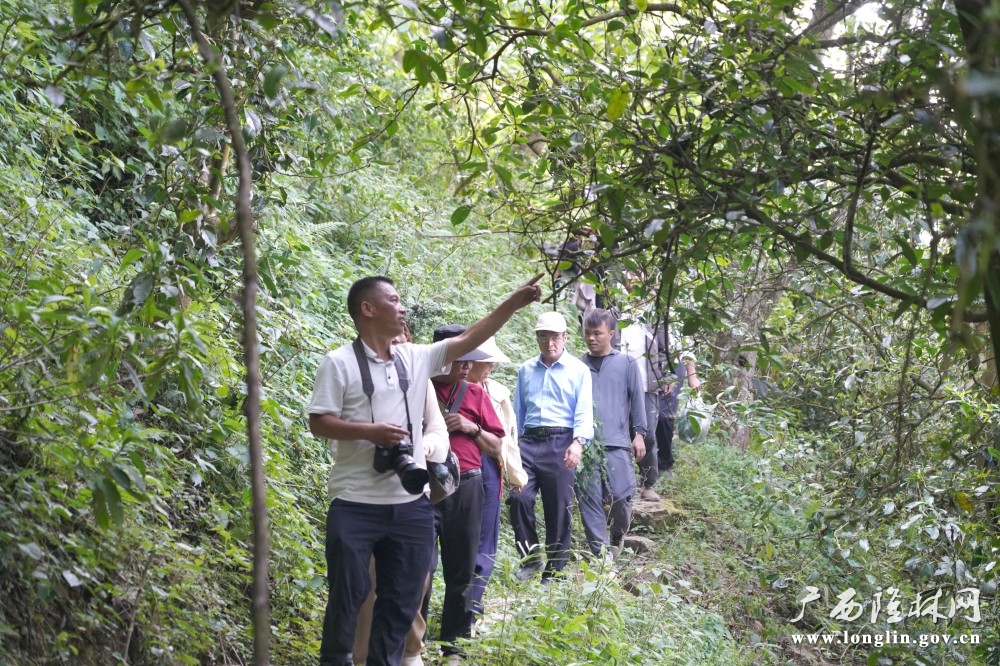 微信图片_20260415110900_773_177