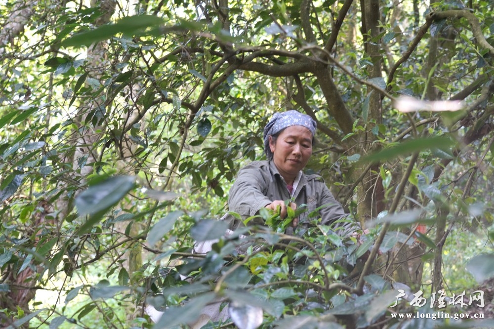 微信图片_20260415110859_772_177