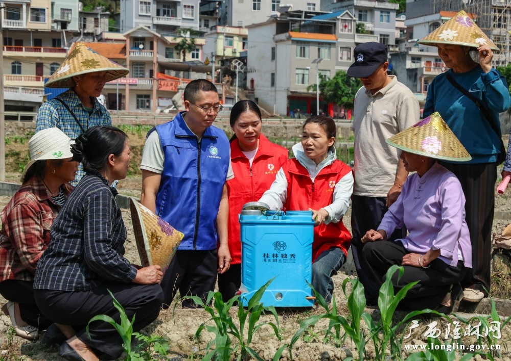 微信图片_20260423174812_652_280