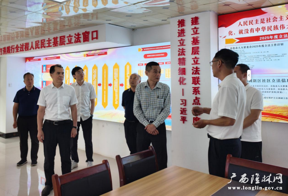 图为：调研组在新州镇鹤城新区基层立法信息采集点调研