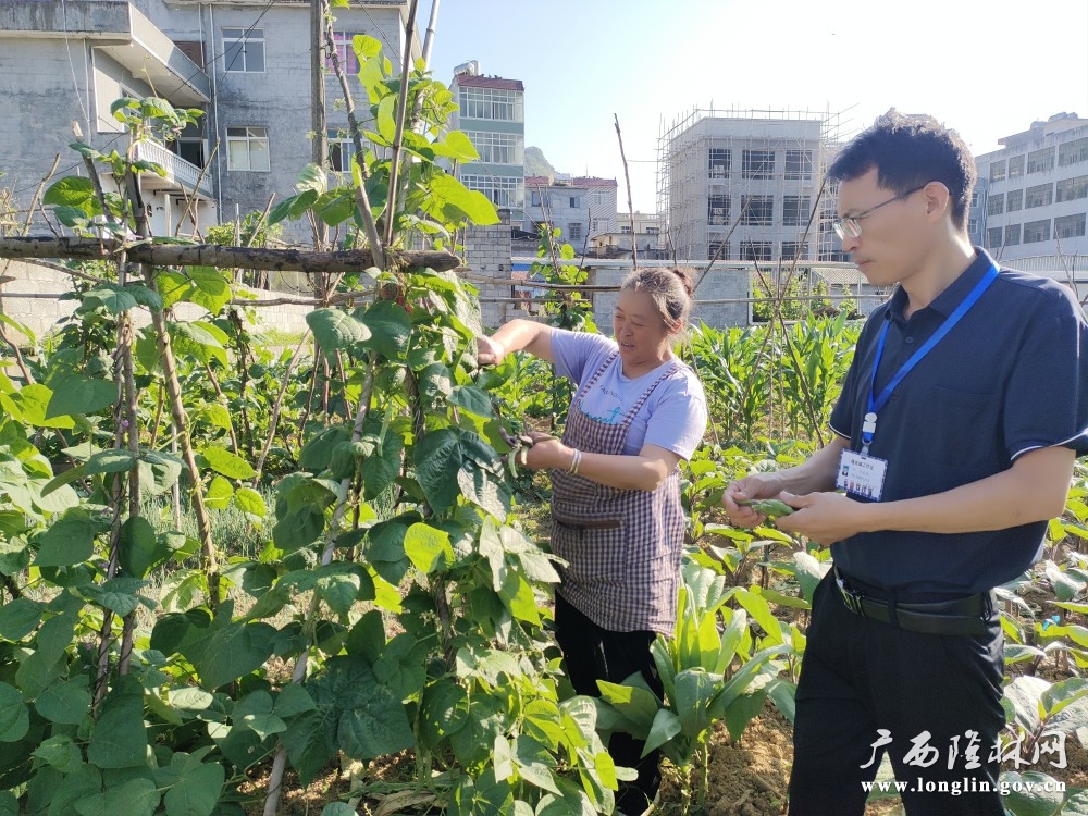 农业服务中心技术员到田间地头采样检测 农业服务中心技术员到田间地头采样检测