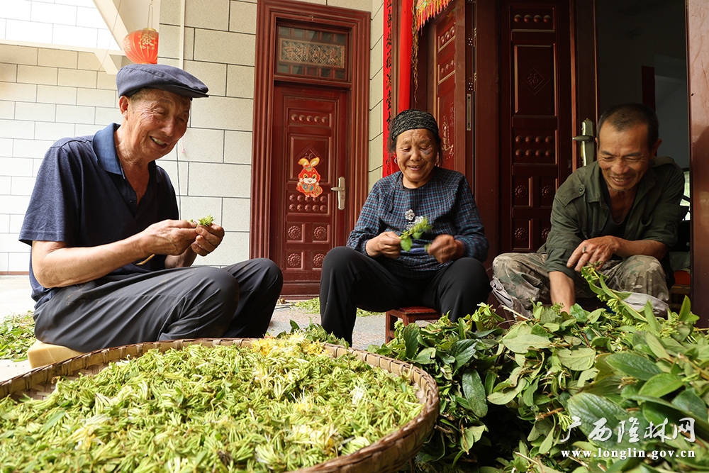 群众在选花1 群众在选花1