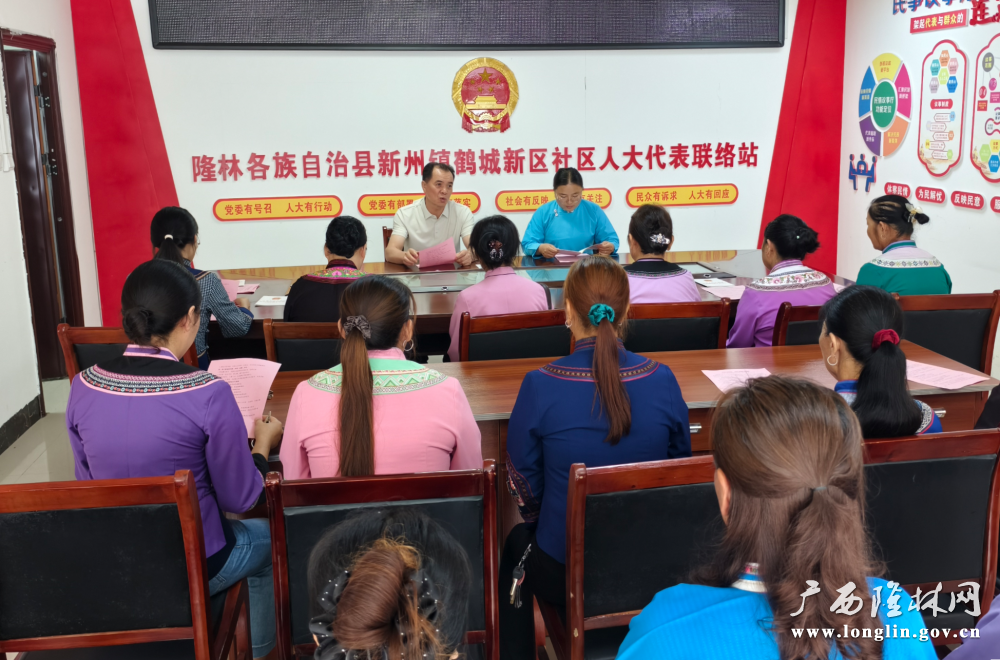 图为：自治县人大常委会宣讲队到新州镇鹤城新区易地安置点开展《中华人民共和国民族团结进步促进法》宣讲活动2