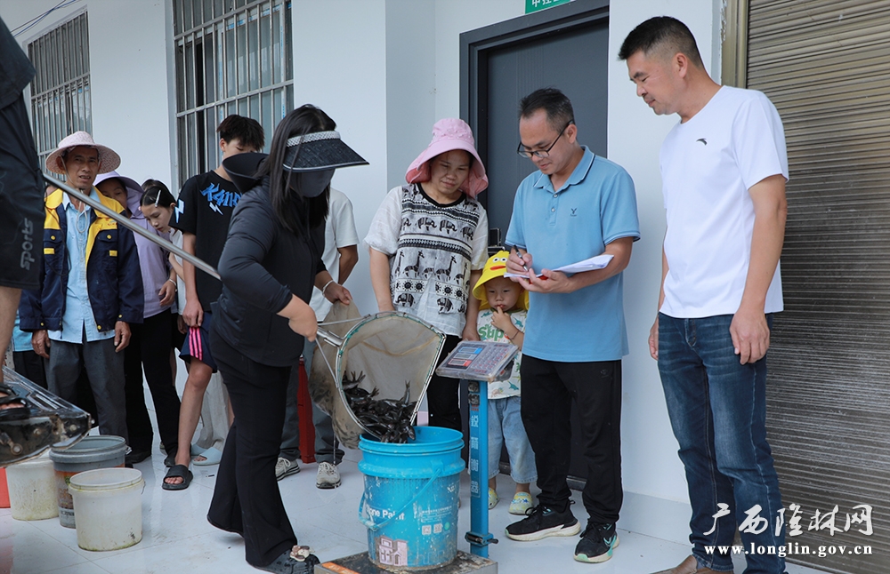 鱼苗发放现场 鱼苗发放现场