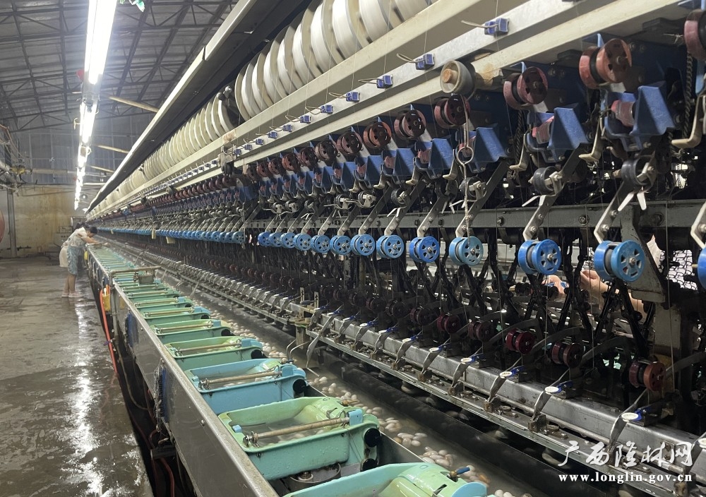 图为:隆林嘉利茧丝绸有限公司缫丝生产线如火如荼 图为:隆林嘉利茧丝绸有限公司缫丝生产线如火如荼