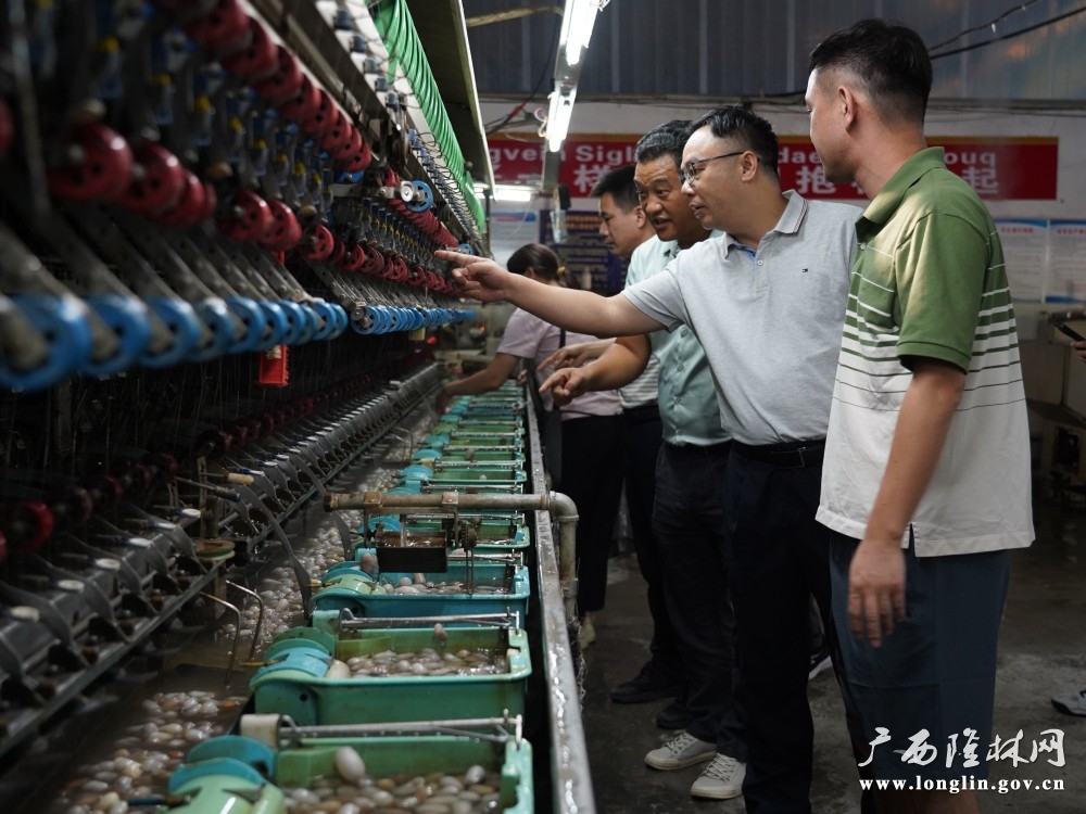 微信图片_20260903095354_197_323 微信图片_20260903095354_197_323