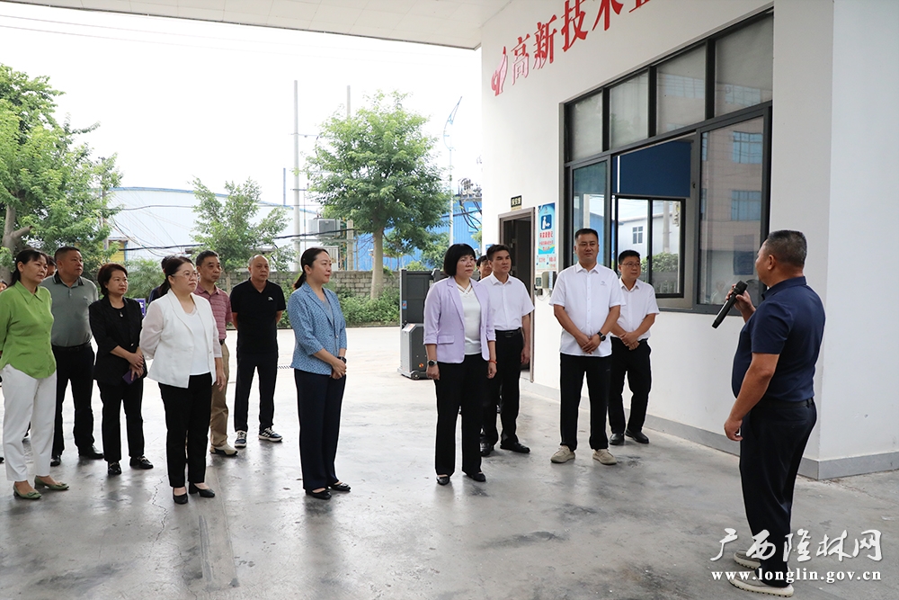 调研组深入企业实地调研 调研组深入企业实地调研
