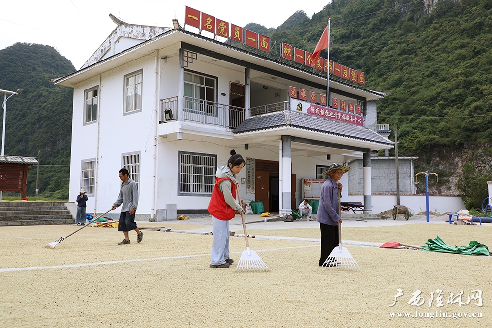 村服务中心变成嗮谷子场地