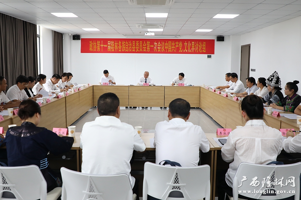 书记到政协分组讨论1