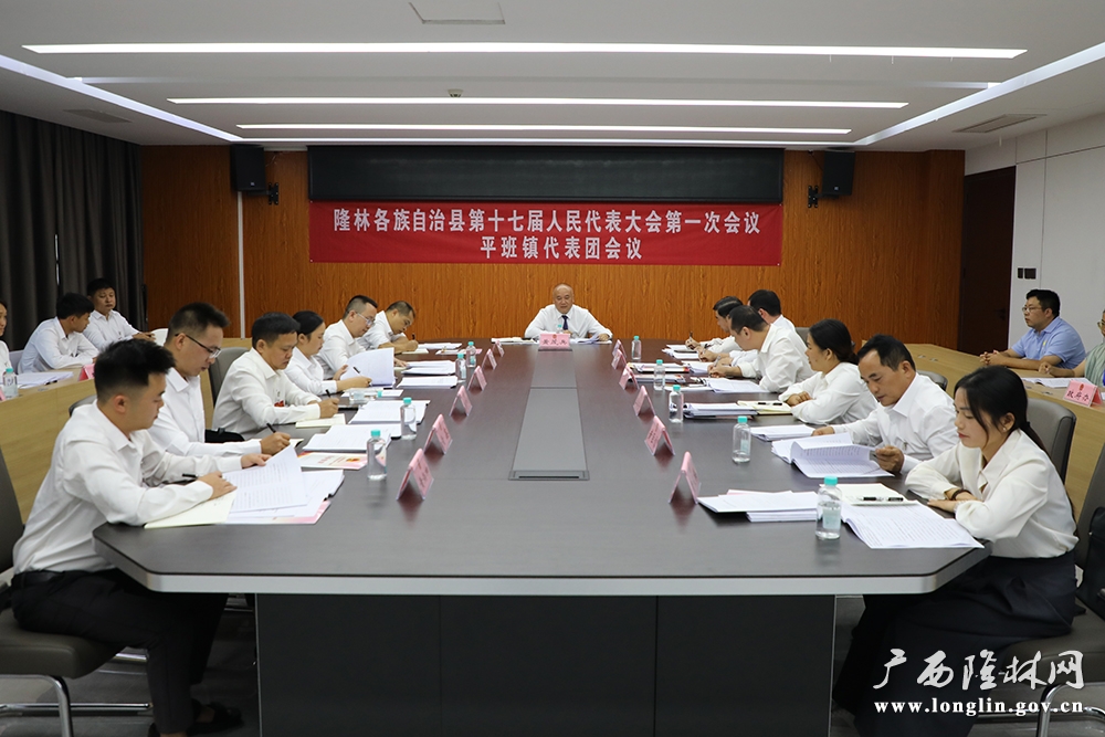 黄茂兵参加平班镇代表团分组讨论 黄茂兵参加平班镇代表团分组讨论
