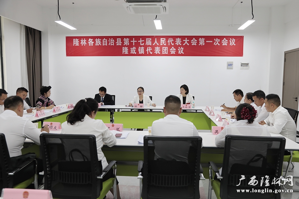 陈静同志参加隆或镇代表团讨论。 陈静同志参加隆或镇代表团讨论。