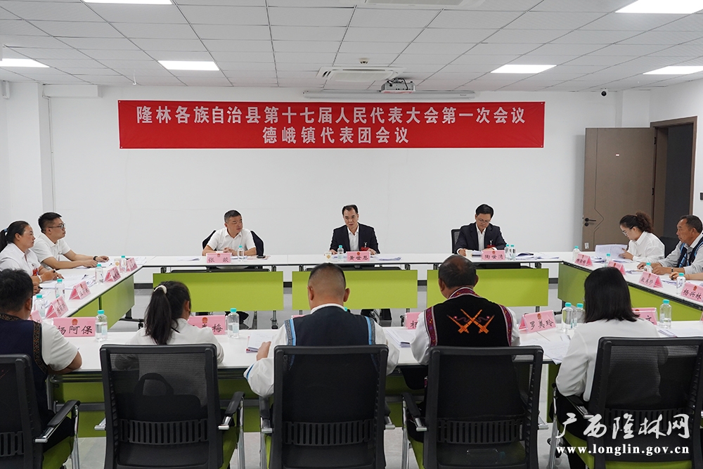 黄世恩参加德峨代表团分组讨论 黄世恩参加德峨代表团分组讨论