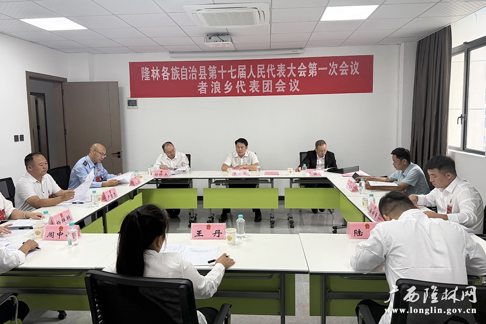 韦文东参加者浪乡代表团分组讨论 韦文东参加者浪乡代表团分组讨论