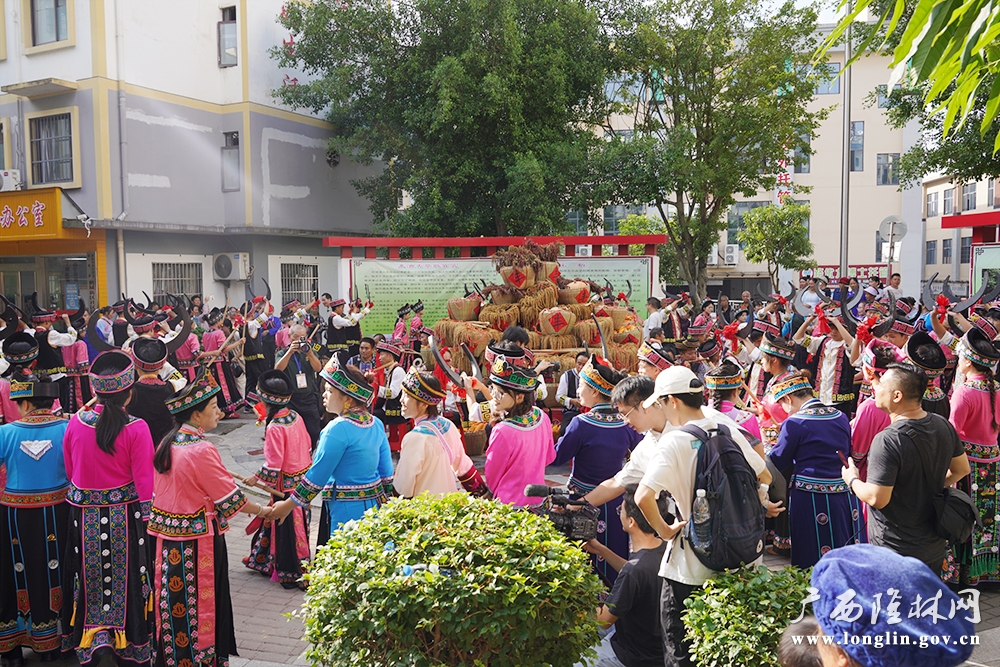 庆丰收现场1 庆丰收现场1