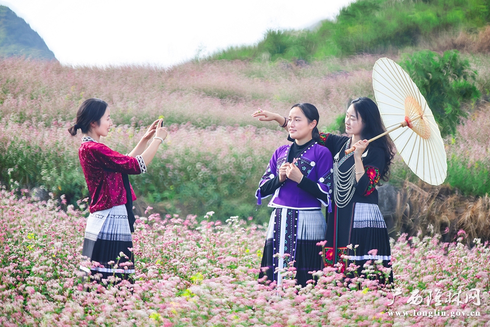 花间留影1